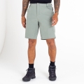 Dare2B Hiking Trousers Tuned In II Short (waterproof) short agave green Men